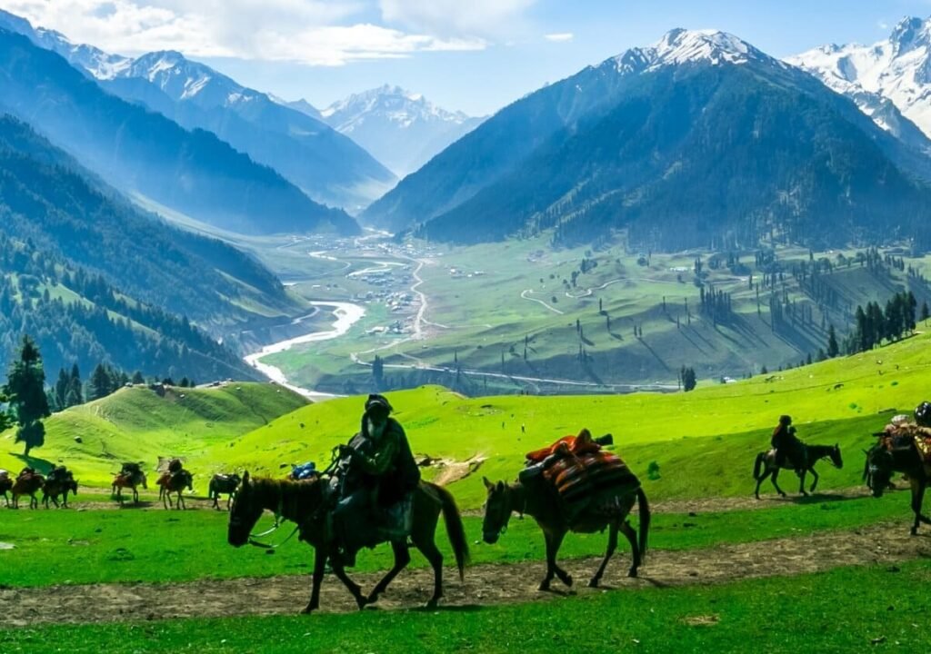 Kashmir